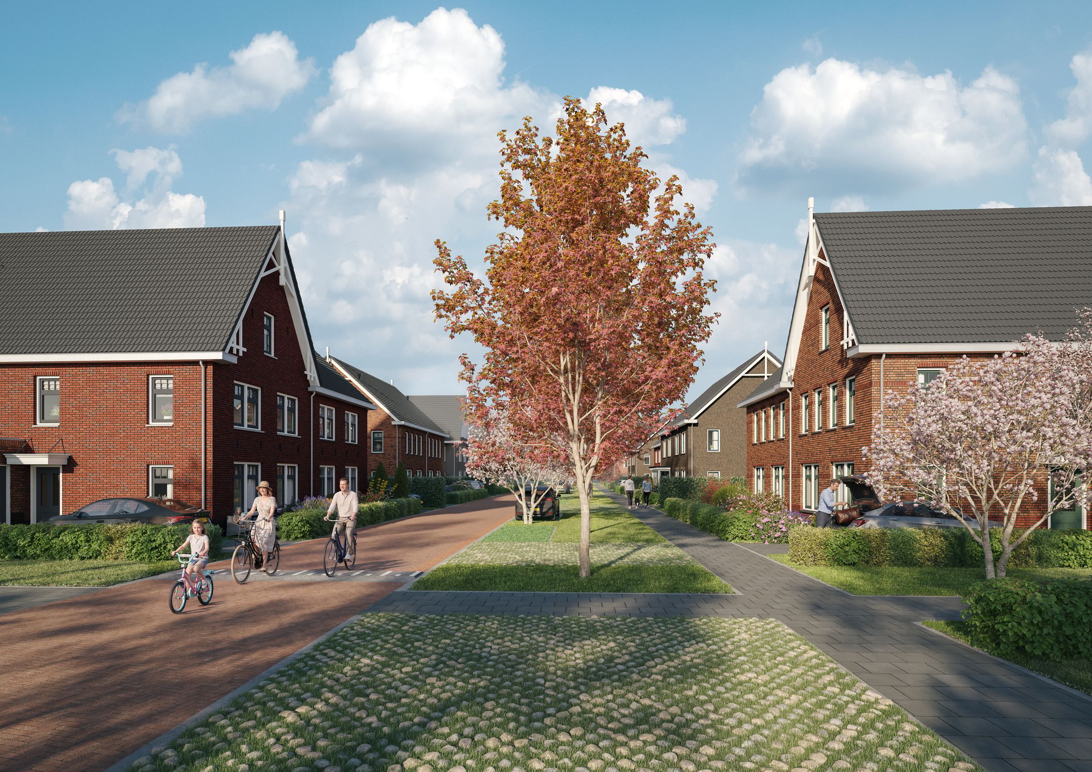 Foto 5 van Torensteepolder: 'De Kreek' -  de woningen