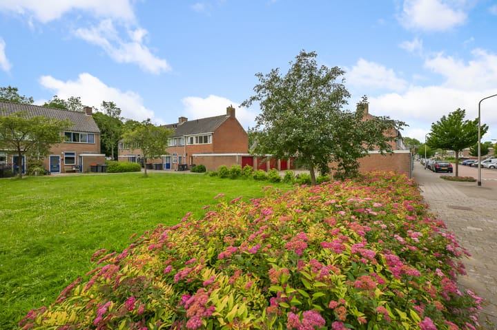 Rodenbachlaan 29 main image
