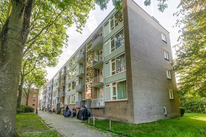Wilbertoord 253 main image