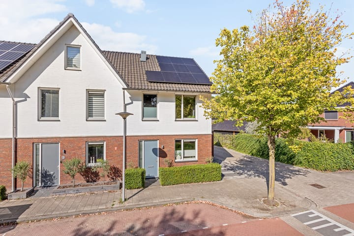 Johannes Vermeerstraat 17 main image
