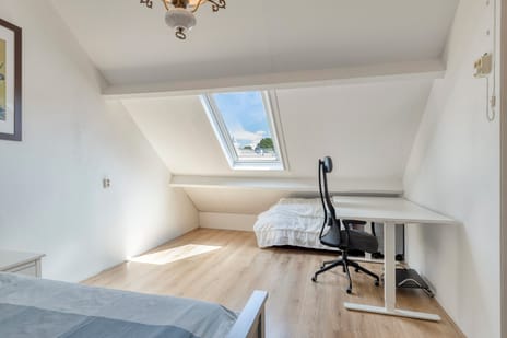 Suikerpeerstraat 2-D tertiary image
