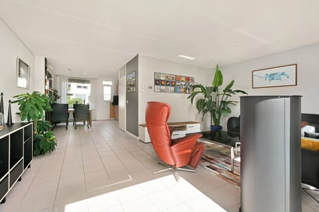 Pijlkruid 5 tertiary image