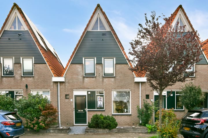 Pijlkruid 5 main image