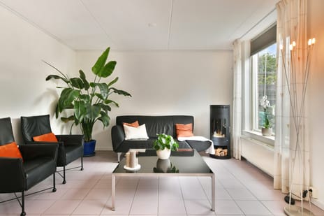 Afbeelding van Pijlkruid 5 - Derde foto