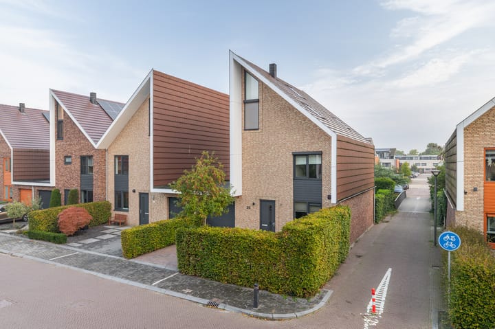 Dieze 25 main image