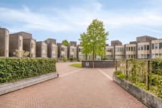 Afbeelding van Bosleeuwerik 14 - Derde foto