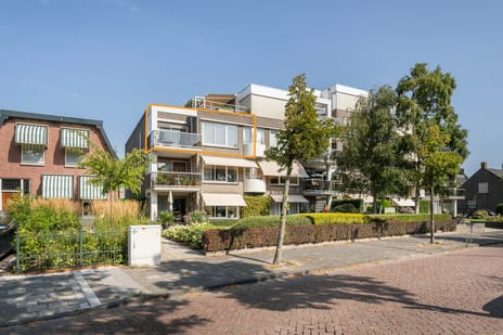 undefined main image