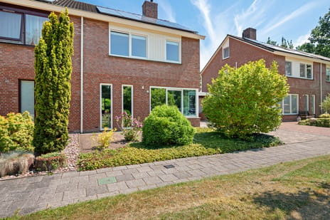 undefined main image