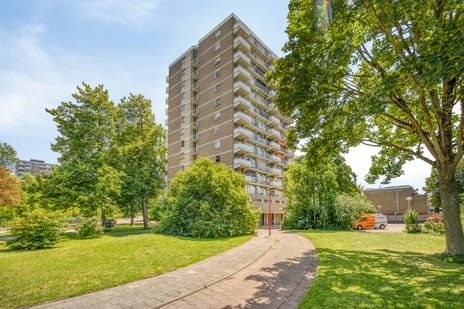 Graaf Janstraat 91 secondary image