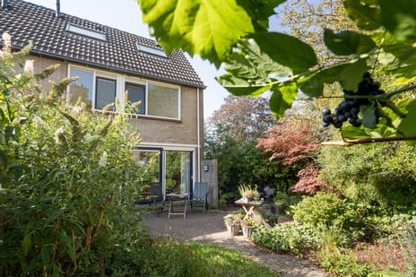 Afbeelding van Kempenaar 41 - Derde foto