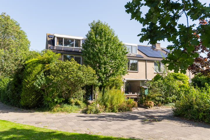 Kempenaar 41 main image