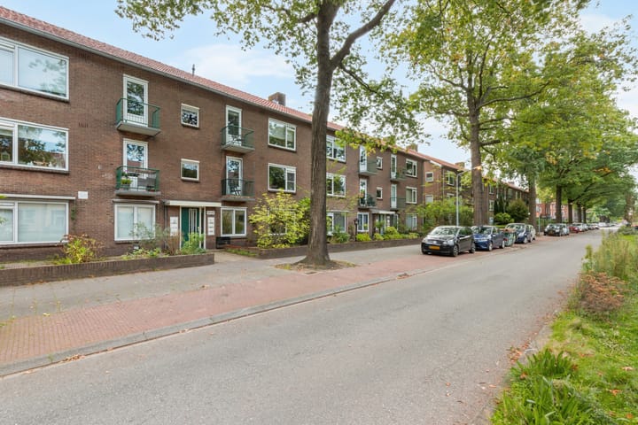 Jacob van Campenlaan 156 main image