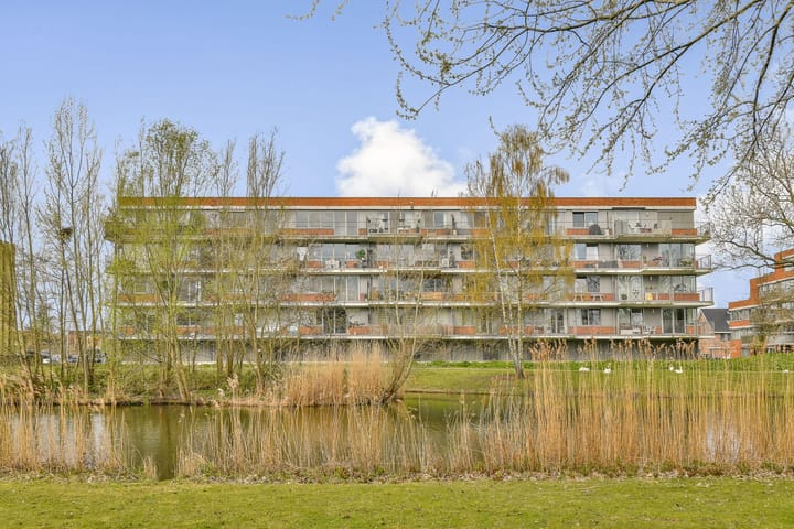 Johan de Wittstraat 185 main image