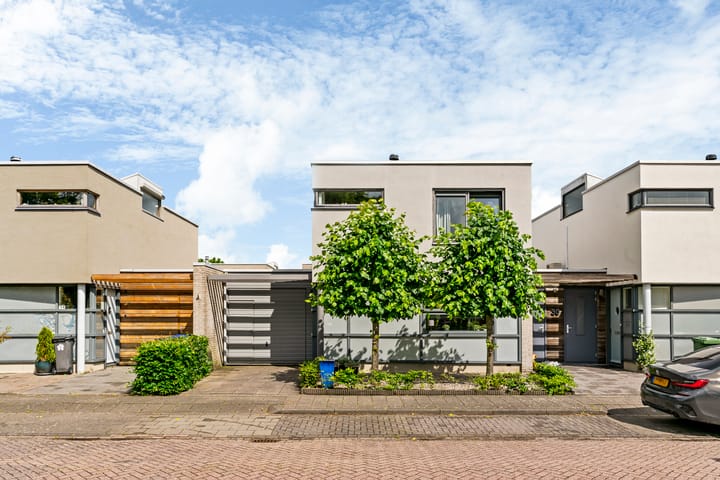Frans Coenenhove 32 main image