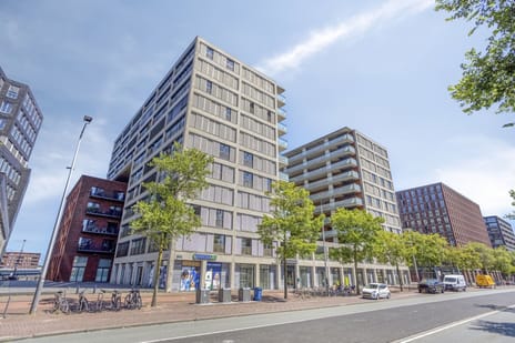 undefined main image