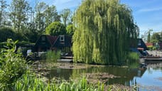 Afbeelding van Vijverweg 16-73 - Derde foto