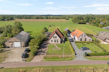 Afbeelding van Witte Paarden 25 - Tweede foto