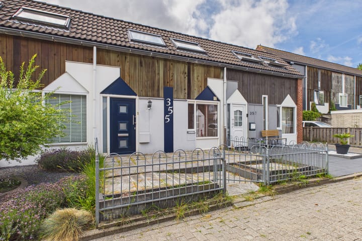 Kanariesprenk 355 main image