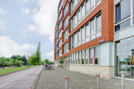 undefined main image