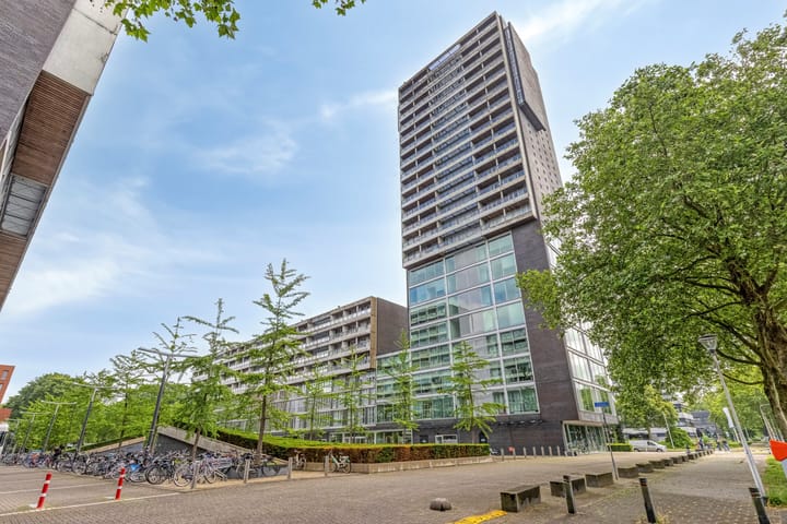 Professor de Moorplein 538 main image