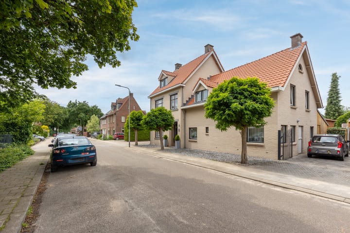 Staai 15 main image