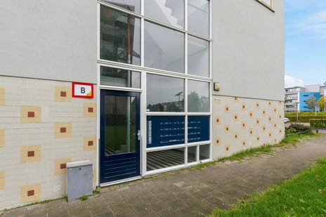 Afbeelding van Cinemadreef 294 - Derde foto