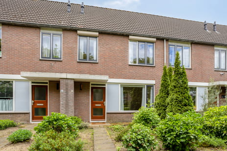 undefined main image