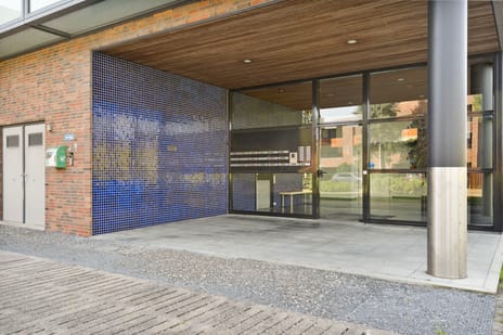 Mahoniehout 17 tertiary image