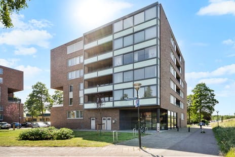 Mahoniehout 17 secondary image