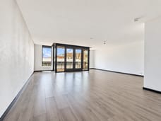 Afbeelding van Ganzenveer 9 - Derde foto