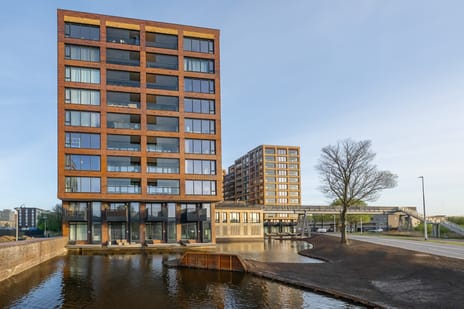 Mahoniehout 436 tertiary image