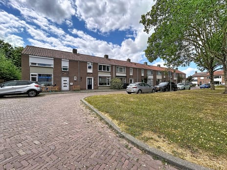 undefined main image