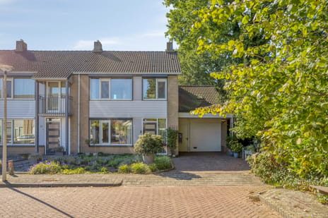 Lijsterstraat 19