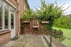 Afbeelding van King Olivereiland 32 - Derde foto