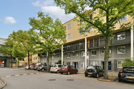 undefined main image
