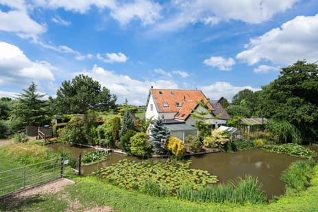 undefined main image