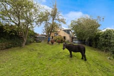 Afbeelding van Molendijk 69 - Derde foto