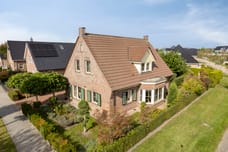 Afbeelding van Dagpauwoog 31 - Tweede foto