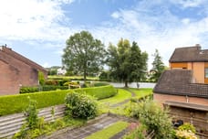 Afbeelding van Zwenkgras 24 - Derde foto
