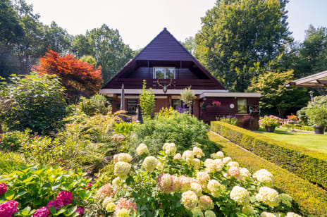 Onder de Bos 116 tertiary image