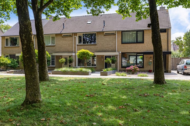 Ropta 19 main image