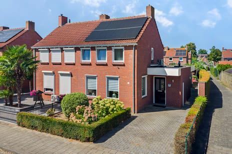 undefined main image