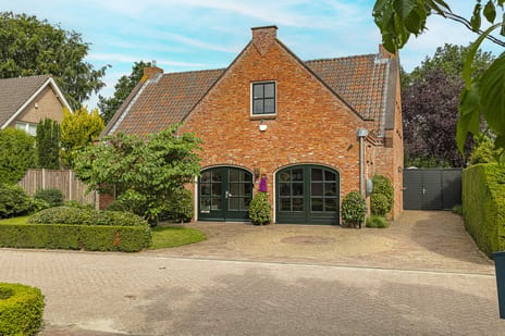 undefined main image
