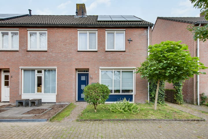 Esdoorn 2 main image