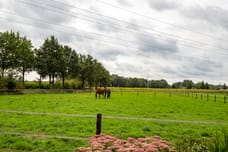 Afbeelding van Needseweg 8 - Tweede foto