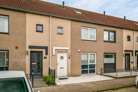 undefined main image