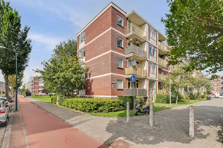 3e Eeldepad 36 main image