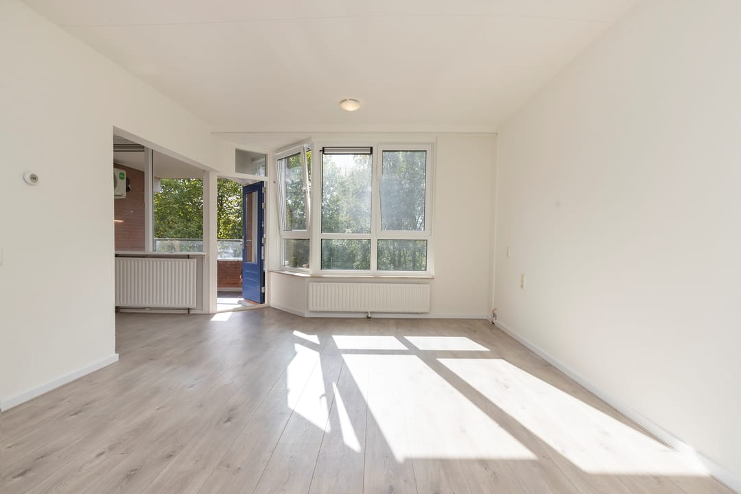 latest house