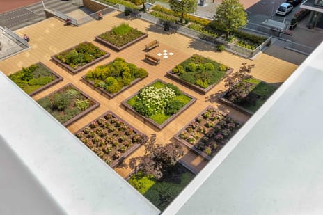 Laan van de Helende Meesters 370 secondary image