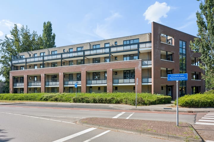 Rijstegoed 47 main image